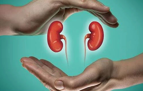 Senani (senani.net): To prevent kidney damage...? Senani (senani.net): To prevent kidney damage...?