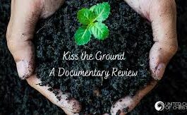 Senani (senani.net): Hands that kiss the soil