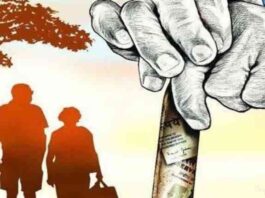 Senani (senani.net): The footsteps of the elderly on the path of old age homes